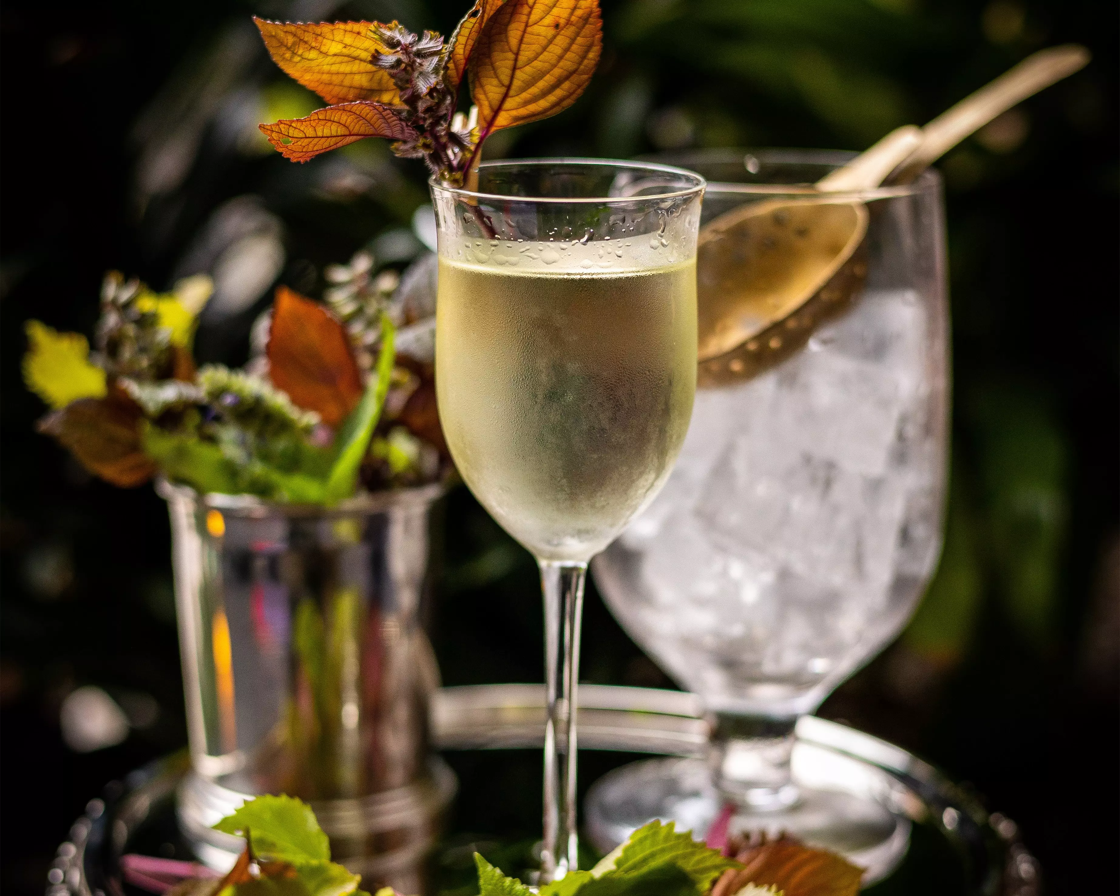 Purple Shiso Martini — Harry Rosen